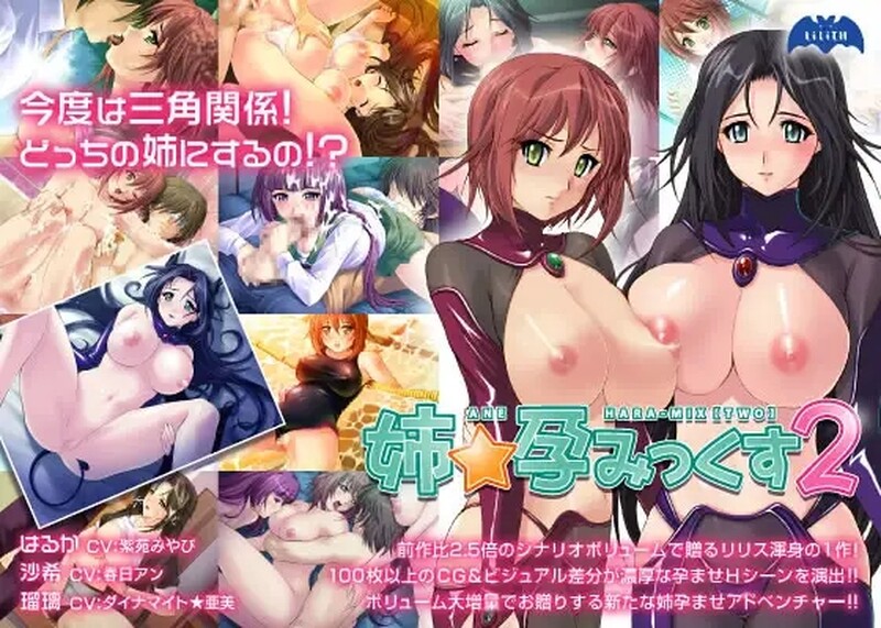 【拔作ADV/爆乳巨乳/2C】姐姐怀孕2（姉☆孕みっくす2）V1.0 AI汉化版+全CG存档【400MB/百度直连】